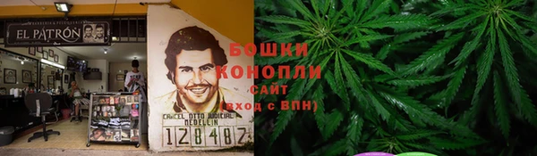 индика Карталы