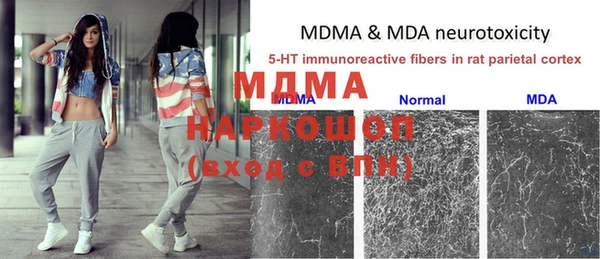 индика Карталы