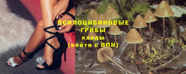 индика Карталы
