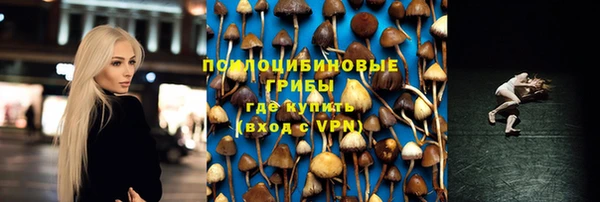MESCALINE Каменка