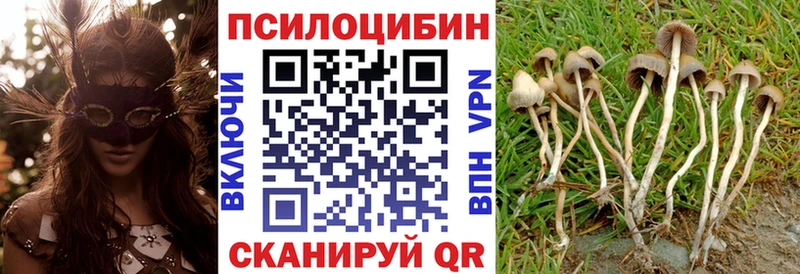 Галлюциногенные грибы мицелий  Купить закладки  Билибино 
